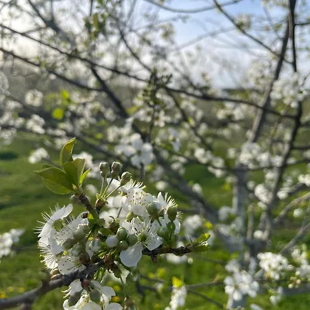Park Ostrovica